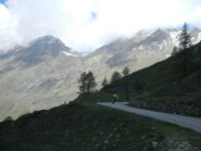 veloce discesa sul versante della Valle Chisone