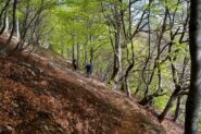 Un bellissimo tratto nel bosco.