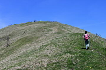 Risalendo la dorsale Sud del monte Alfeo