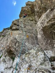 L1 Asini nella notte 