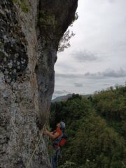 L4, spiando il futuro