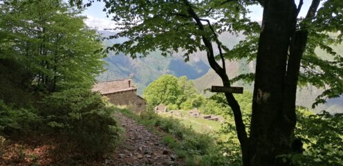 Alpe Curgei