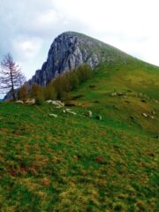 tratto finale alla cima del Fantino 
