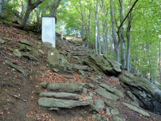 Direzione Santa Cristina