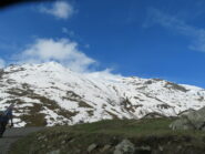 Arp Vieille