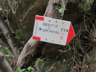 Nuove paline imbocco sentiero