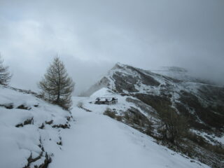 Verso il Monte Saccarello