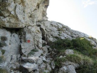 Via Salesi