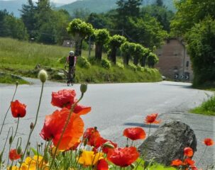 In arrivo a Sassello