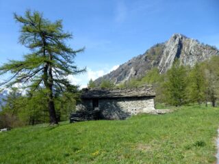 Lo splendido ambiente di Pian Fio con le vie sullo sfondo.