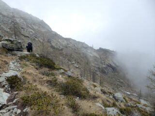 Sul sentiero per il Col Vercoche.