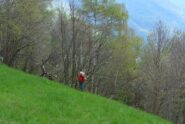 Si esce dal bosco a Missirola