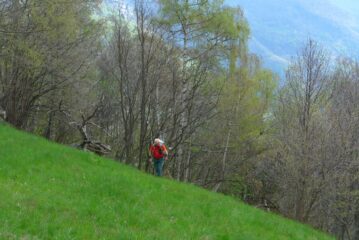 Si esce dal bosco a Missirola