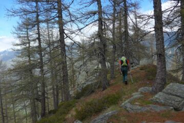 Ultimo tratto verso il Bec Tirsi