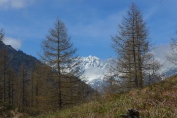 Bel panorama sulla Val Grande