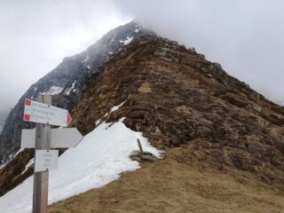 Dal Colle.