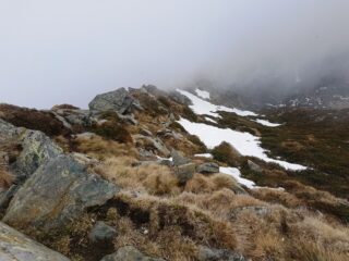 La cresta dalla cima.