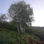 Inizio traverso per costa Testette