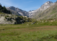 Nel Vallone di Bardoney (poi non percorso)