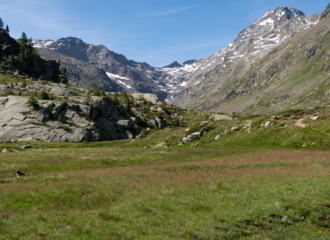 Nel Vallone di Bardoney (poi non percorso)