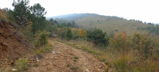 La stradina, salendo