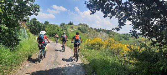 si comincia a salire nelle colline del Frignanese