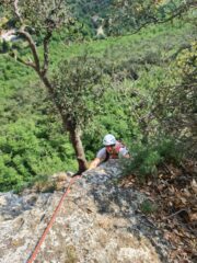 Fratellojeje ancora felice prima della faccenda del compressore