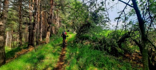 sentieri in zona Lama Mocogno