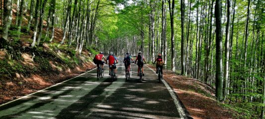 verso il passo delle Radici