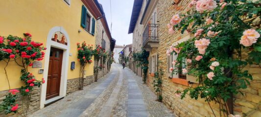 Bossolasco paese delle Rose