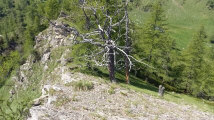gli ultimi metri di salita