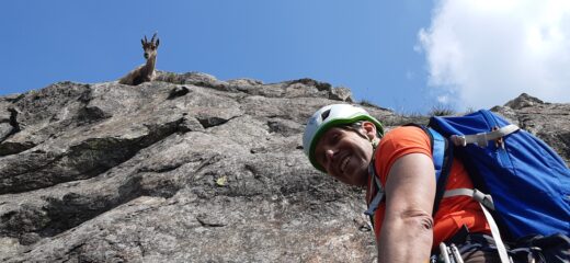 Spuntano corna curiose