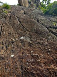 Indicazioni sempre presenti (in certi casi sono piccolissime frecce... difficili da vedere, ma ci sono!)