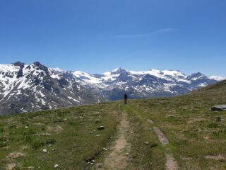 il verde, i fiori, l'acqua, le montagne