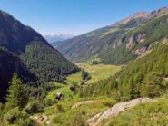 valle di ollomont