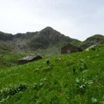 Alpe del Roc