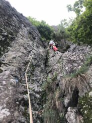 Il diedro vegetale del terzo tiro