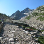 La mula per la Val Morta