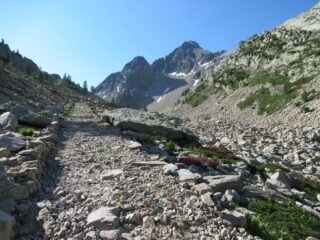 La mula per la Val Morta