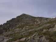 Testa del Ferro