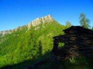 dal colletto dopo il primo bosco