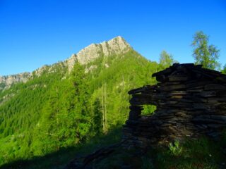 dal colletto dopo il primo bosco