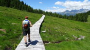 Percorriamo la passarella in legno fatta per preservare l'ambiente di torbiera.