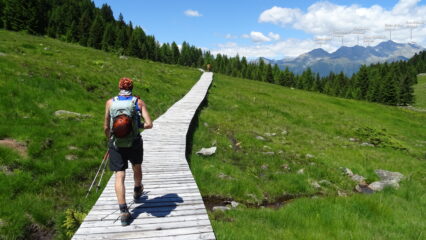 Percorriamo la passarella in legno fatta per preservare l'ambiente di torbiera.