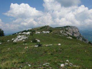 Verso Pendjno e Monte Nero