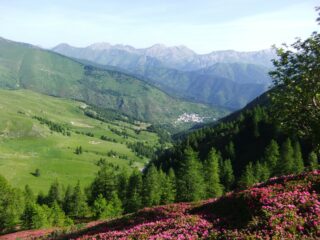 Il vallone prativo di salita