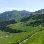 Verdi pendii di discesa