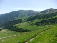 Verdi pendii di discesa