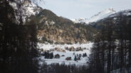 Piana di Nevache