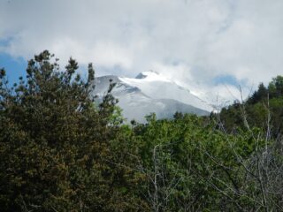 ben innevata la parte alta del versante sud/sud est del Rocciamelone
